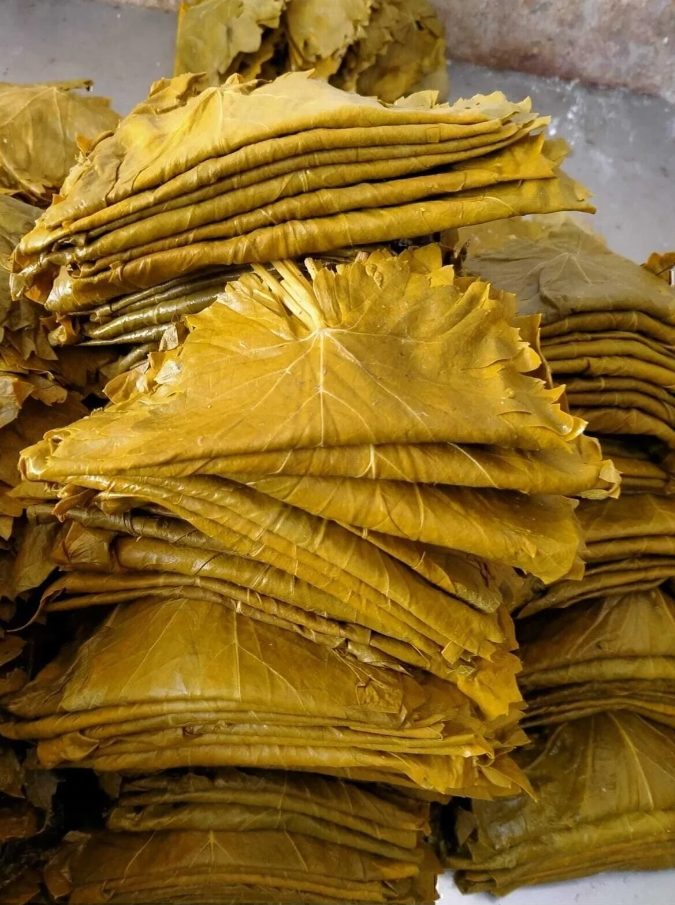 Erbaa Salamura Grape Leaves (Bağ Yaprağı) – 400g