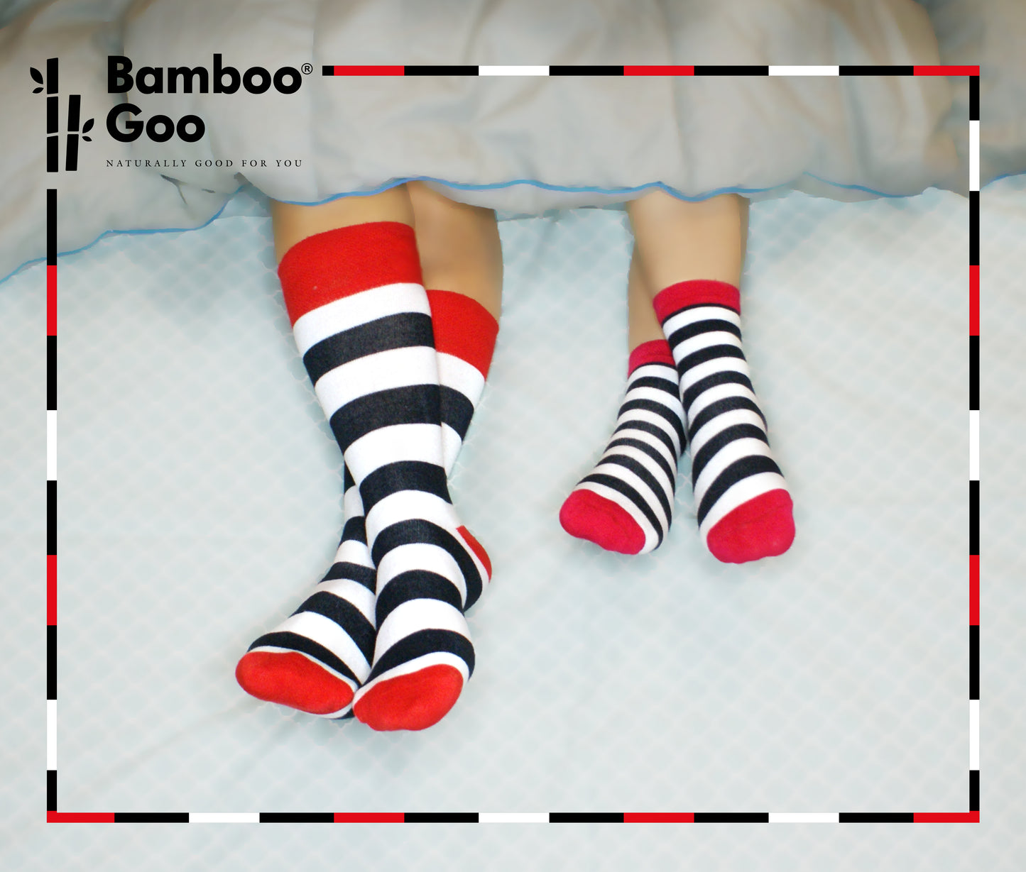 Bamboo Dress Socks Family Concept 4 Pack